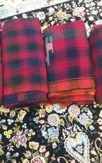 موج ۴ عددی