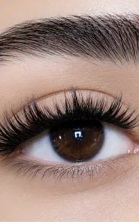 تخفیف ویژه شیک ترین و طبیعی ترین مژه و لیفت ابرو