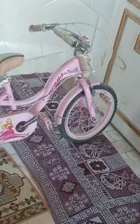 دو چرخه