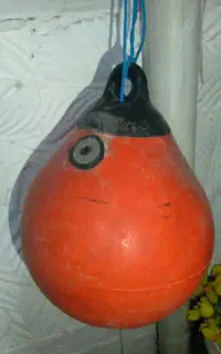 بویه دریایی