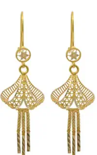 گمشده گوشواره کنار بیمارستان خاتم