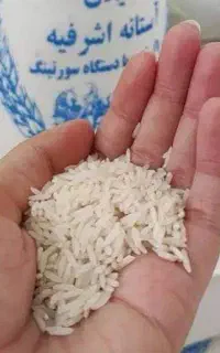 برنج هاشمی درجه یک