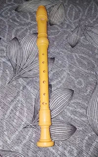 فلوت
