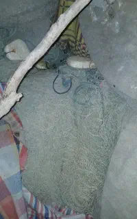 طور سهیه