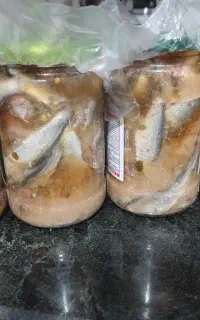 سور حشینه