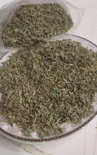 آویشن تازه با قیمت( مناسب)