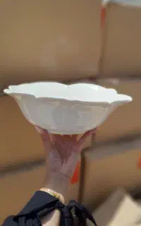 ظرف و ظروف چینی