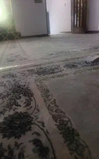 جویای کار سریداری.