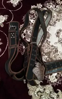کمر بند علم