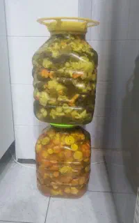 ترشی و سبزی خشک خانگی