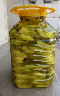 ترشی بیلحر