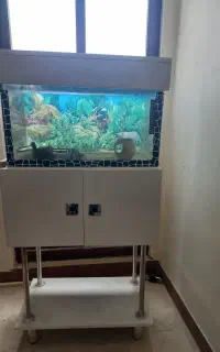 آکواریوم آماده راه‌اندازی