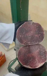 گوشت گرم و منجمد گوساله و گوسفند