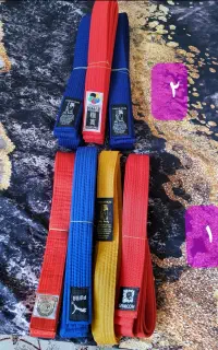 کمربندقرمزوآبی کاراته وتکواندودرحدنو