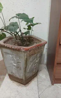 ۳ عدد گلدان سفالی بزرگ هر کدام ۵۰۰ تومان