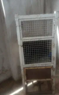 قفس پرنده