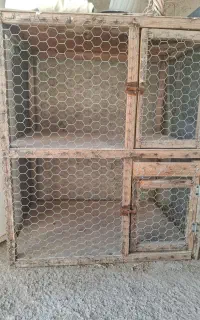 قفس