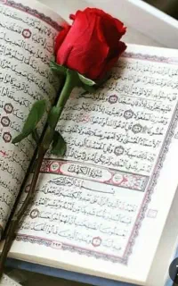 قرآنی کتب د ع ا دقیق