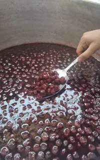 مربا  البالو