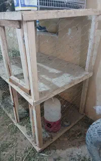 قفس جفتگاه