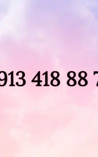 ۰۹۱۳۴۱۸۸۸۷۸