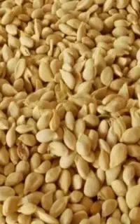 هسته لیموترش میخوام