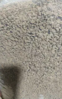به دو نفر نیرو جوان خانم در قهوه فروشی