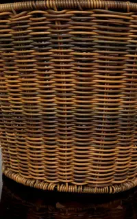 سبد هایدی