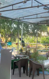 کافه فست فود و قلیون فریدونکنار