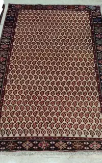 قالیچه کاملا سالم طرح بوته