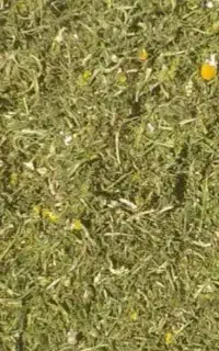 سلام باوینه خوب ترو تمیز فقط کیلو ۱۴۰۰