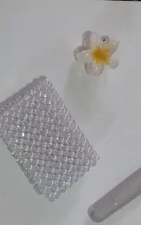 جاکارتی دو طرفه صدف