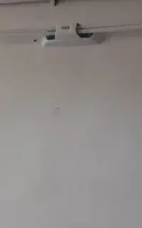 مهتابی