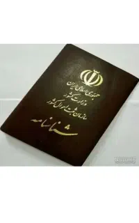 پیدا شده