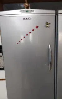 یخچال دوقلو پارس در حد نو
