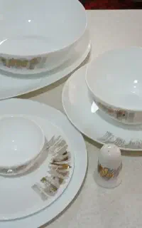 سرویس آرکوپال ۱۸ نفره+ هدیه