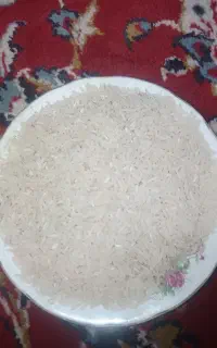 برنج فجر سوزنی