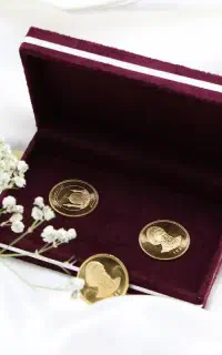 انواع پارسیان گیل زر