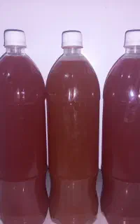 ترخینه و آبغوره