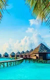 تور مناسب وآخرفصلی کیش
