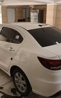 شیشه دودی ، سرپوشیده ، تخصصی