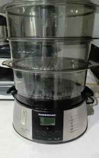 بخار پز نو نو گاسونیک