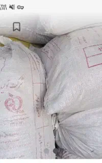 نونوخشک کیلو ۲۵