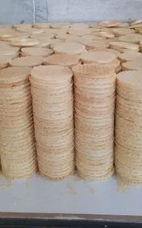 کاردرکارگاه