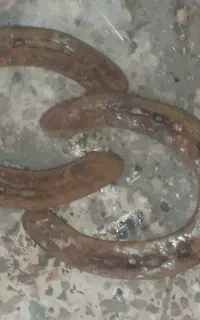 نعل اسب قدیمی‌کارکرده