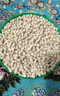 نخود محلی