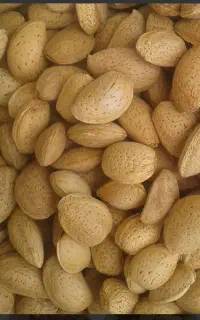 بادام تازه