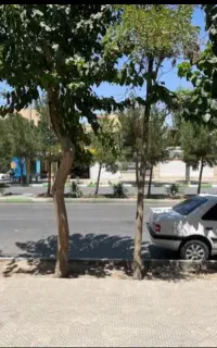 مغازه الفت میانی