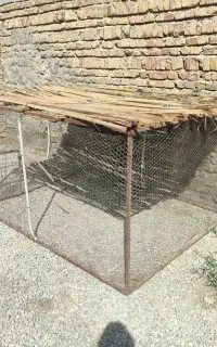 قفس بزرگ