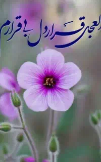 خط تلفن ثابت رند
